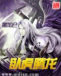 卧虎腾龙封面