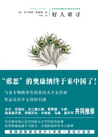 好人难寻封面