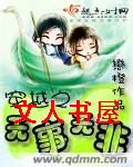 穿越之无事无非