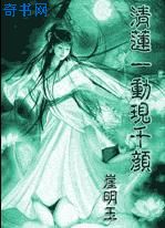 清莲一现动千颜封面