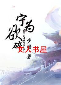 宁为欲碎封面