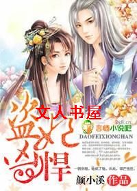 盗妃凶悍,王爷难眠封面