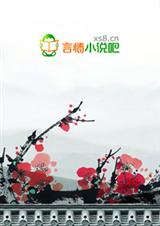 妃常穿越:带着王爷回现代封面