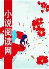 暗月邪妃封面