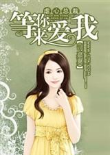 虐心总裁:等你来爱我封面