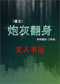 炮灰翻身(重生) 炮灰翻身(重生)