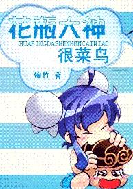 花瓶大神很菜鸟封面