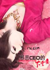邪恶CEO的下堂妻(完结) 邪恶CEO的下堂妻(完结)