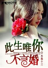 此生唯你不言婚封面