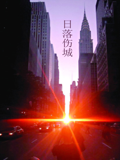 日落伤城封面