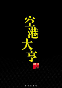 空港大亨 空港大亨