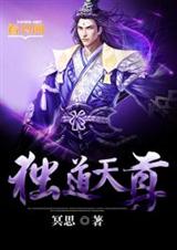 独道天尊封面