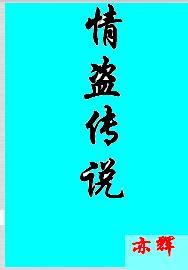 情盗传说 情盗传说
