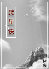焚星诀 焚星诀