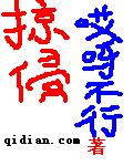 掠侵 掠侵