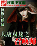 大唐双龙之召唤师 大唐双龙之召唤师