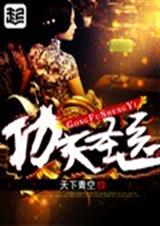 功夫圣医 功夫圣医