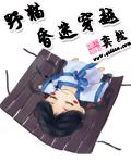野猫昏迷穿越 野猫昏迷穿越