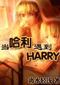 (HP)����������HARRY