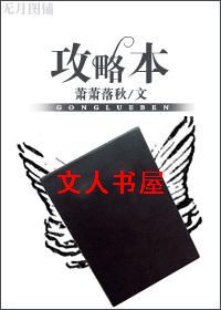 攻略本 攻略本