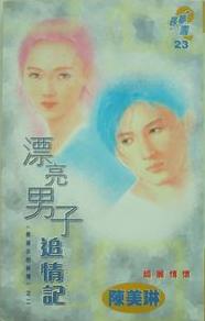 漂亮男子追情记封面