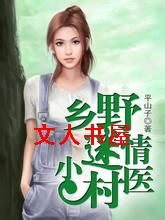 乡野迷情小村医封面
