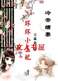 引发五国之乱:坏坏小王妃封面