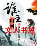 谁主山河封面