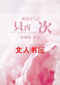 珠光宝气之只再一次封面