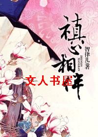 禛心相伴封面