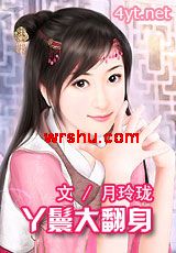 丫鬟大翻身封面
