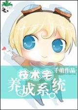 技术宅系统 技术宅系统