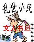 乱世小民封面