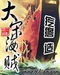 大宋海贼 大宋海贼