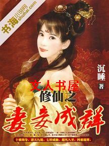 修仙之妻妾成群封面