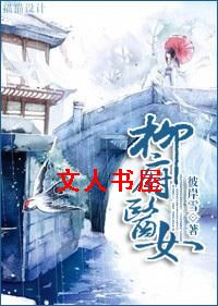 柳府医女封面