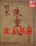 明末朱重八封面