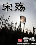 宋殇封面