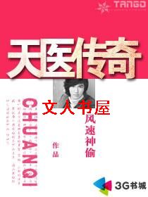天医传奇封面