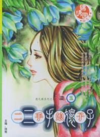 二手娘子封面