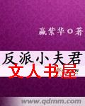 《反派小夫君》封面