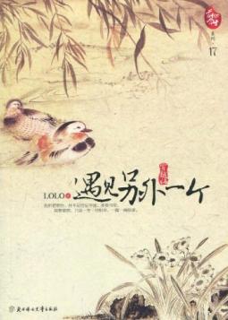 遇见另外一个(穿越版)封面