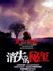 消失的秘玺 消失的秘玺