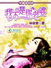 穿越还情债:我不是你老婆封面