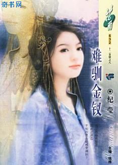 难驯金钗封面
