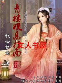 青楼娱乐指南封面