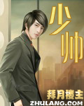 少帅封面