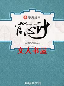 官心计 官心计