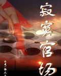 寂寞官场 寂寞官场