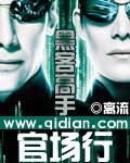 黑客高手官场行 黑客高手官场行